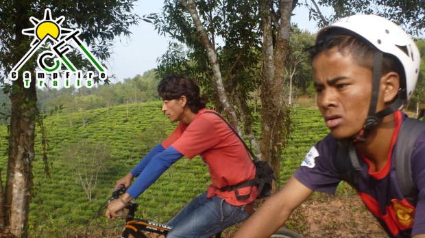 Year of the Youth - Cycling towards the tea garden plantation at Sohliya 